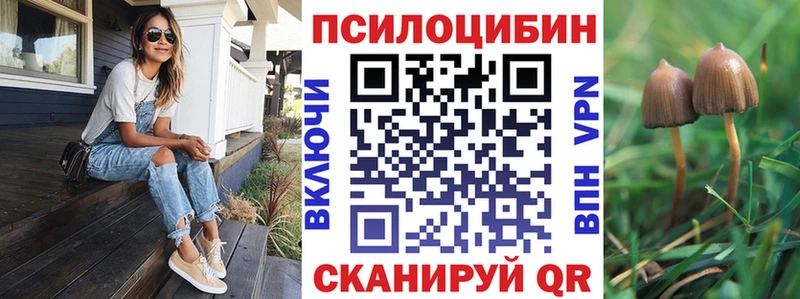 Псилоцибиновые грибы мухоморы  blacksprut зеркало  Тотьма 